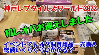 【レオパードゲッコー】神レプで初レオパお迎えしました♪♪