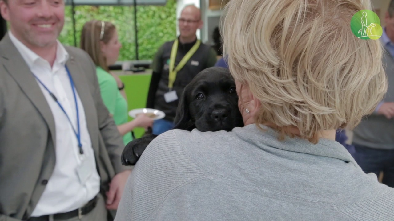 Raising Your Puppy - Puppy Placements