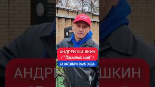 тяжёлая дата скорби: могила Юры Шатунова #shorts #шатунов #shortvideo #2025 #белыерозы #ласковыймай