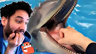 UNUSUAL MEMES are BACK | NymN Reacts