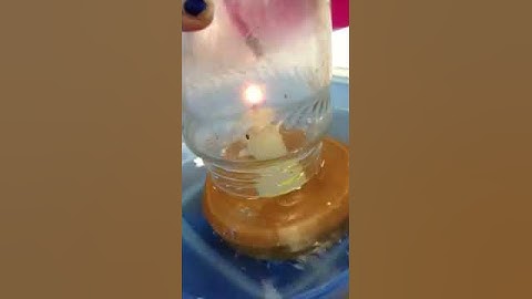 Predict, observe and explain