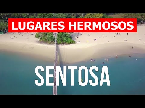 Video: Las mejores playas de Singapur