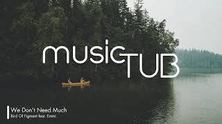 We Don't Need Much - Bird Of Figment feat. Emmi [Acoustic Group Music]