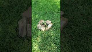 20200804 165400