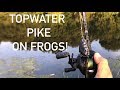 Topwater Frog Fishing for Pike - Including Blowups!