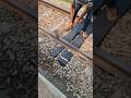 Dog spike setup on new wooden sleepers #dogspikes #woodensleepers #shorts
