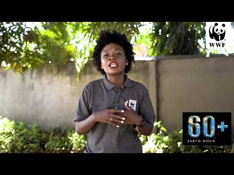 WWF EARTH HOUR
