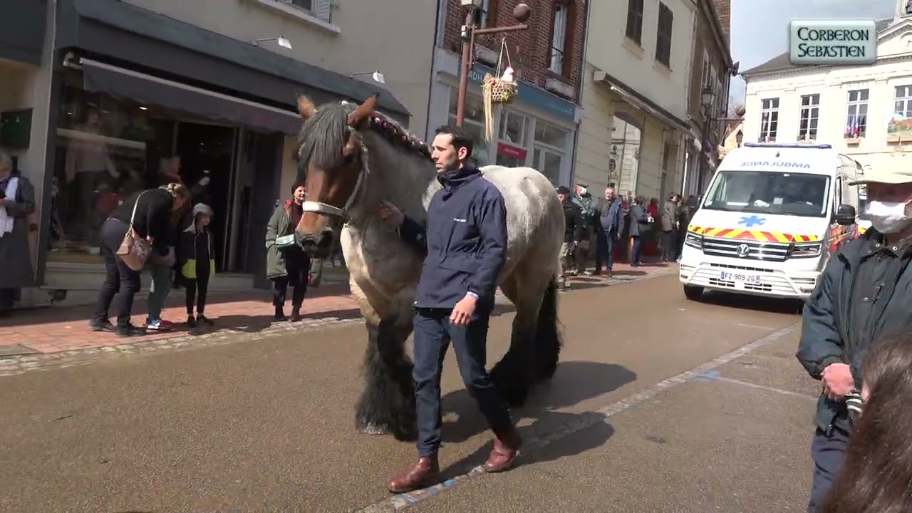 Foire du Beau Marché 2022 Toucy Défilé chevaux