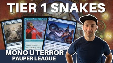 CLEAN AND STRONG- Mtg Pauper Mono Blue Terror is a tier 1 force to be reckoned with!