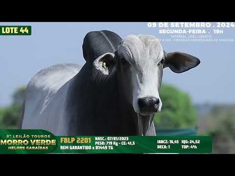LOTE 44   FBLP 2201