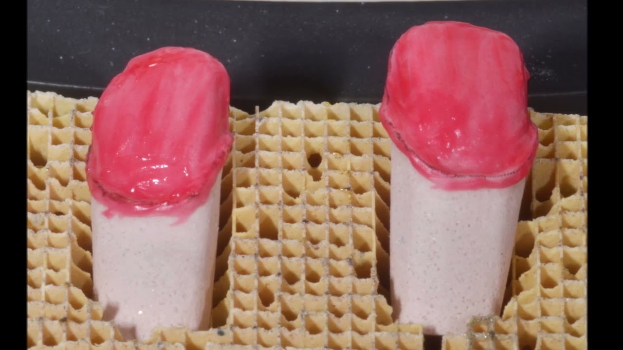 Technique -céramique sur réfractaire- par DENIS RIZZO