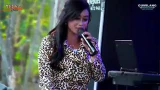 Story WA orkes jepara // Triaz musik