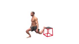 Plyo Box Bulgarian Split Squats