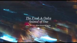 Miniatura de "The Fresh & Onlys - Animal of One [Official Single]"
