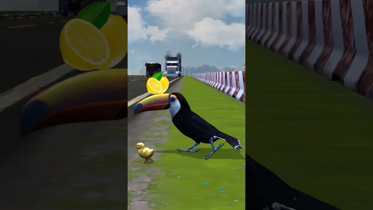 Mmm A Lemon Parrot Meme Shorts