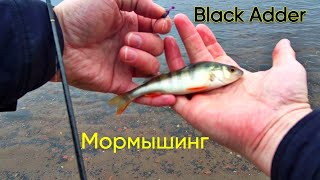 Мормышинг С Black Adder На Неве | Ловля Окуня