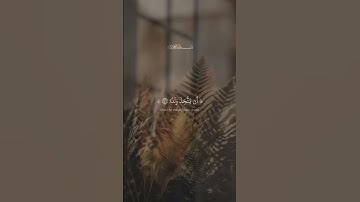 وَكُلُّهُمۡ ءَاتِيهِ يَوۡمَ ٱلۡقِيَٰمَةِ فَرۡدًا | ما تيسرَ من سورة مريم بصوت القارئ احمد خضر