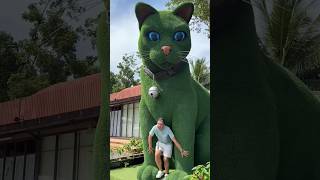 This cat is really alive! 🥰 #funny #cats #catvideos #tiktok #social #usafunny #catlovers #funpage This cat is really alive! 🥰 #funny #cats #catvideos #tiktok #social #usafunny #catlovers #funpage