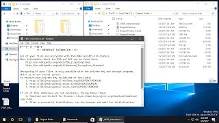 Appcheck Anti-Ransomware Fabsyscrypto Ransomware.locked Block Video