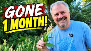 We Left the Garden for a Month… Here’s What Happened - It's Not Great!