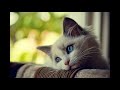 اغنية تركية حزينة من مسلسل رائحة الفراوله