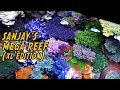 Sanjay 500 gallon mega reef  extended reef nerd edition 10 minutes