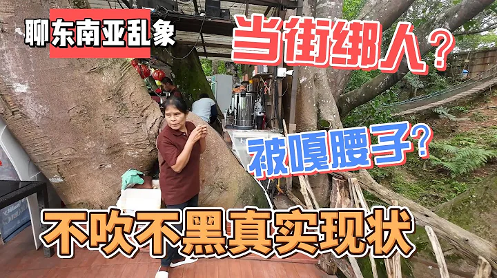 聊東南亞亂象，當街綁人？被嘎腰子？不吹不黑真實現狀 - 天天要聞