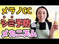 【 シミ予防 】メラノCC 薬用 しみ 集中対策 美容液 の 成分解説 【 美白ケア 】