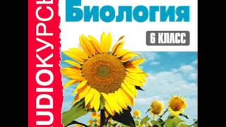 2000243 Glava 23 Аудиокнига. "6 класс. Биология" Что мы узнали о жизнедеятельности организмов 2000243 Glava 23 Аудиокнига. "6 класс. Биология" Что мы узнали о жизнедеятельности организмов