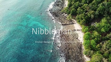 Kristian Røstøen + Glenn Rune Gallefoss : Nibbleman + // Blues muz