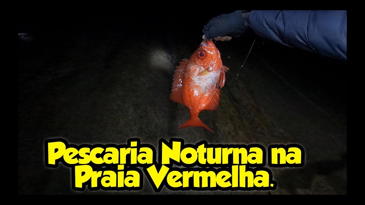 Pescaria Noturna na Praia Vermelha 