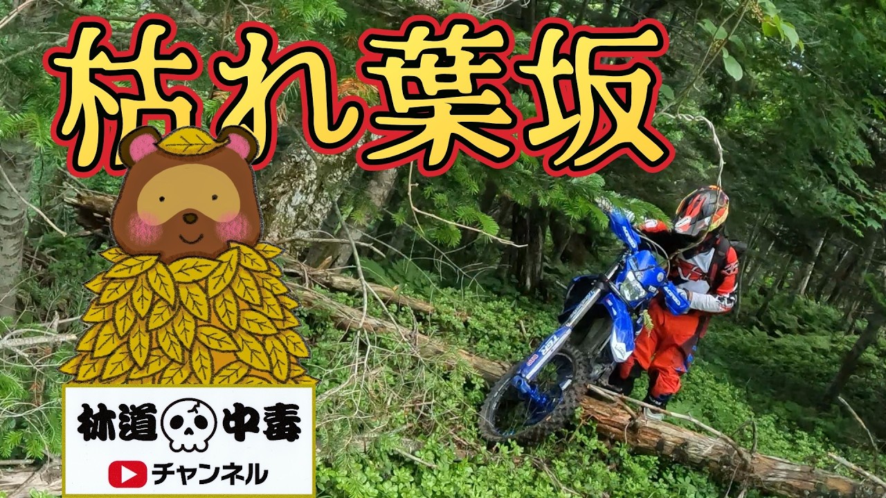 枯れ葉坂