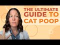 The Ultimate Guide to Understanding Your Cat's Health Through Their Poop