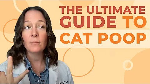 A Vet's Guide to Cat Poop - DayDayNews