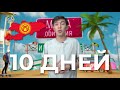 Еду в Кыргызстан Бишкек за 20$. Места обитания влог