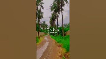 { وَنُرِیدُ أَن نَّمُنَّ عَلَى ٱلَّذِینَ ٱسۡتُضۡعِفُوا۟ فِی ٱلۡأَرۡضِ}[سورة القصص: ٥#اكسبلور #دويتو