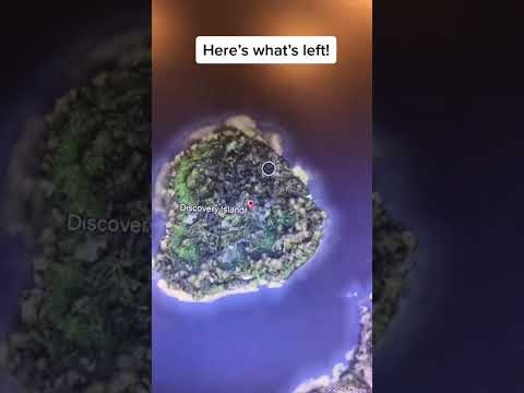 Видео: Влакчетата в увеселителен парк на Disney World
