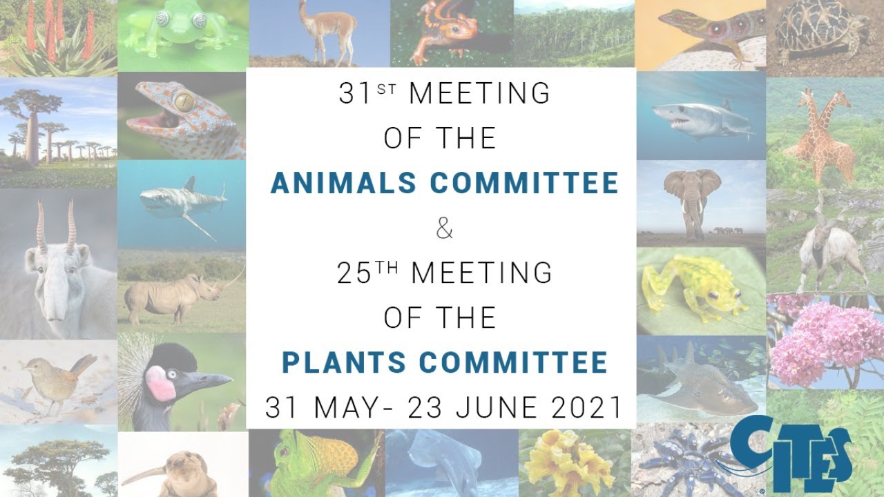 25th meeting of the CITES Plants Committee: Session 1 (June 2)