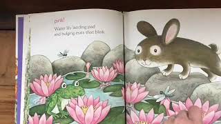 Story with Ms. Lori: What does Bunny See?