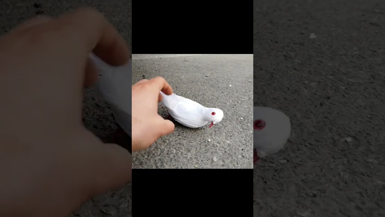 Crushing Crunchy Smashing A Plastic Bird To Pieces 