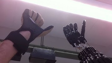 Shadow Hand Glove Calibrated