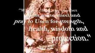 Geronimo  The Last Free Apache Low