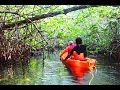 Cancún Jungle Tour on Kayak