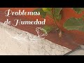 REPARAR PROBLEMAS DE HUMEDAD EN LOS TECHOS, HUMEDAD EN LA PARTE ALTA DE NUESTRA VIVIENDA.