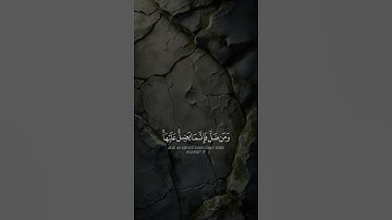 قران كريم  -  القارئ مالك الزامل