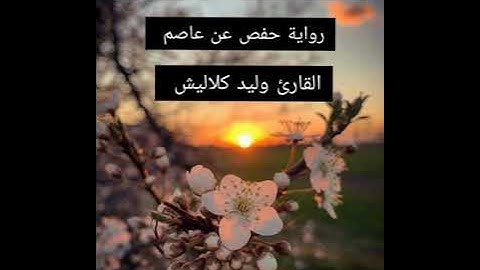 آيات بينات من سورة #المائدة {ما المسيح بن مريم إلا رسول قد خلت من قبله الرسل...}
