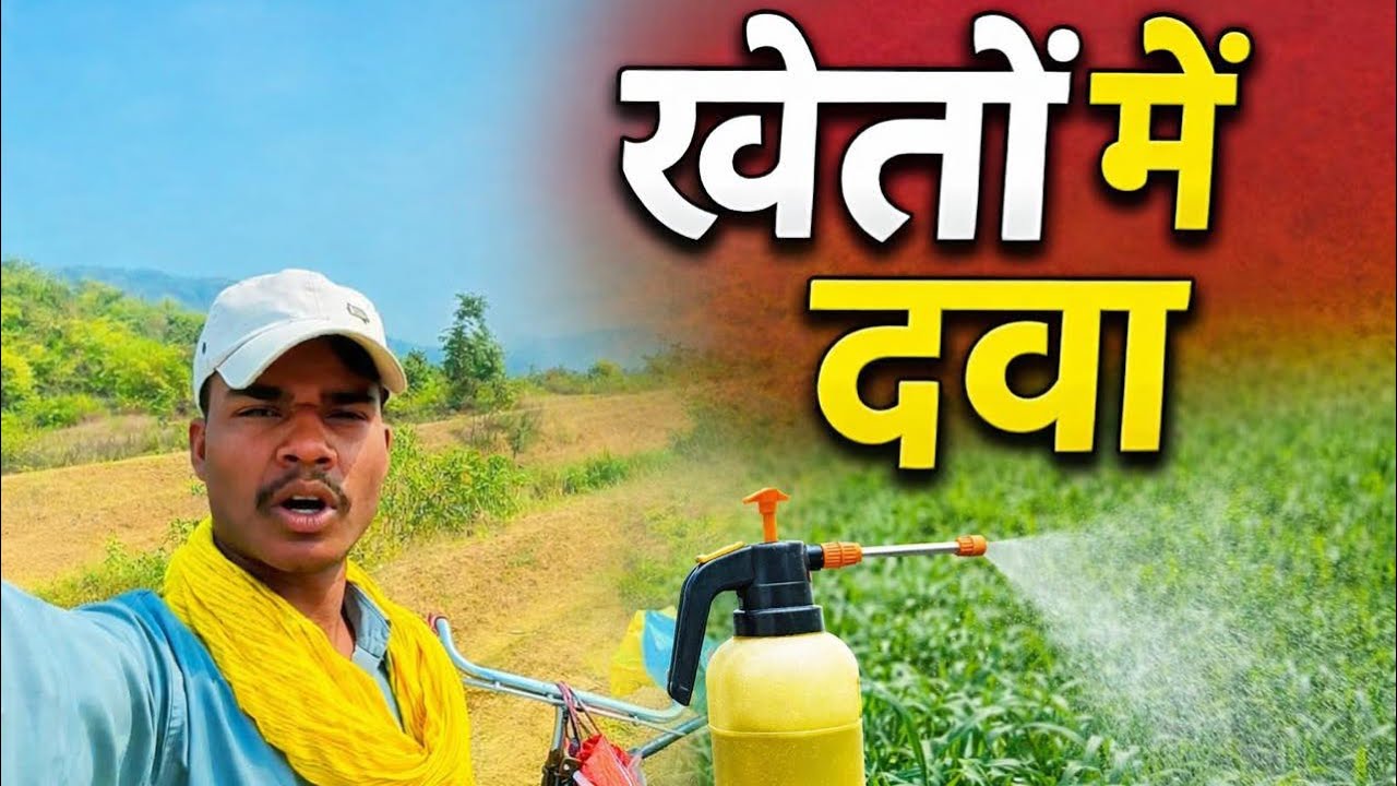 आ गये खेत🌾 में दवा मारने ✅