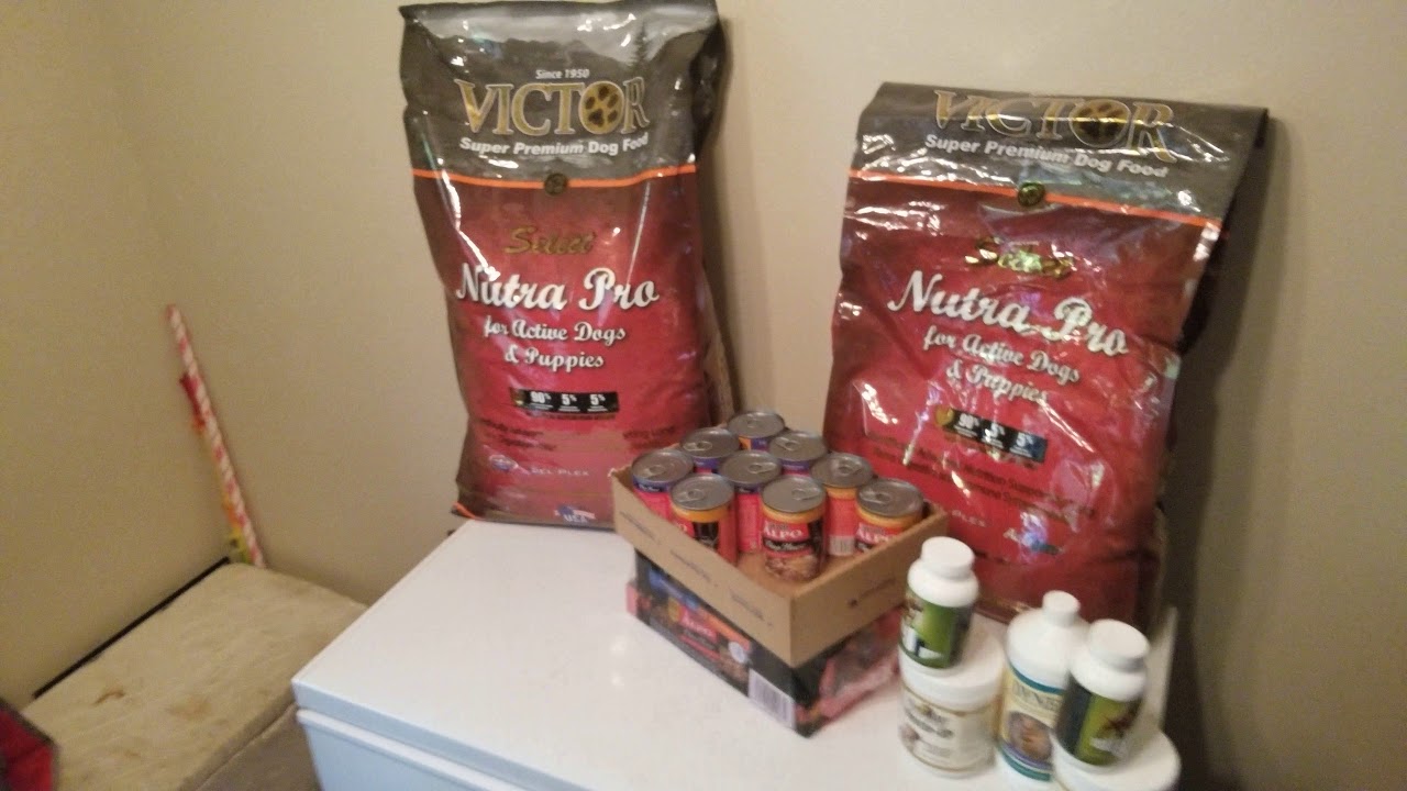 Feed your dogs GOOD - YouTube