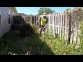 Total property cleanup | Customer wasn't expecting this [Overgrown backyard cleanup] Part #2