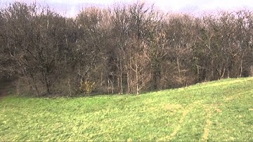 DIY brushless gimbal Sony CX730 speed flight test